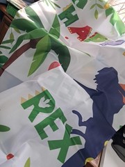 Dinosaur Party Decorations For 3 Year Old