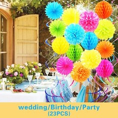 Colorful Paper Party Decorations, Tissue Paper Flower&Party Pom Poms wth Swir…