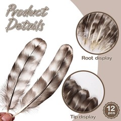 Daieeparty 12pcs Natural Grey Reed Chicken Feathers Bulk 6-8 inch Chinchilla …