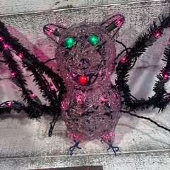 Halloween 27” Light Up Bat Indoor/outdoor – 2001 May Co – W/box – Very Rare