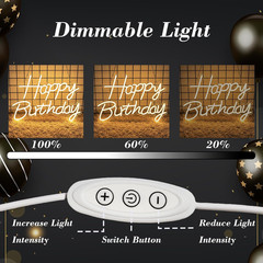 LED Happy Birthday Neon Sign – Dimmable Wall Decor for Party, USB Powered