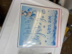 Bear Gender Reveal Balloon Boxes Decorations – 1ooPcs Pink Blue Balloons + MORE