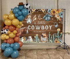 Cowboy Baby Shower Backdrop Western Theme A Little Cowboy Is On The Way Decor