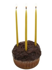 Beeswax Candle Works, 5-Inch Birthday Candles (Pack of 5 inch, Golden Yellow
