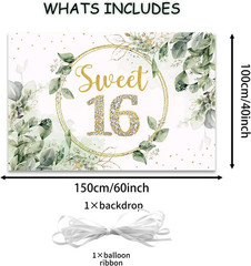Sweet 16 Birthday Decorations for Girls Sage Green Happy 16th Birthday Backdrop