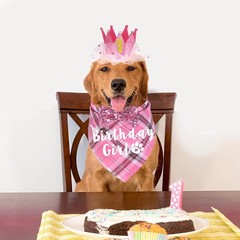 Luxurious Dog Birthday Crown Set – Hat, Bow Tie & Bandana Costume for Large Dogs