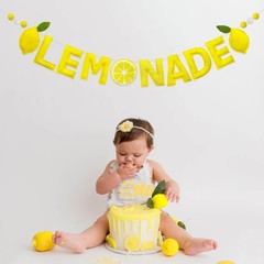 Lemonade Stand Decorations Pre-Strung Handmade Felt Lemonade Sign Banner Wool…