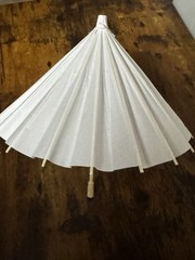 NEW Decorative Chinese Paper Parasol DIY/Kids/Shower/Photo Umbrellas 6 Pack