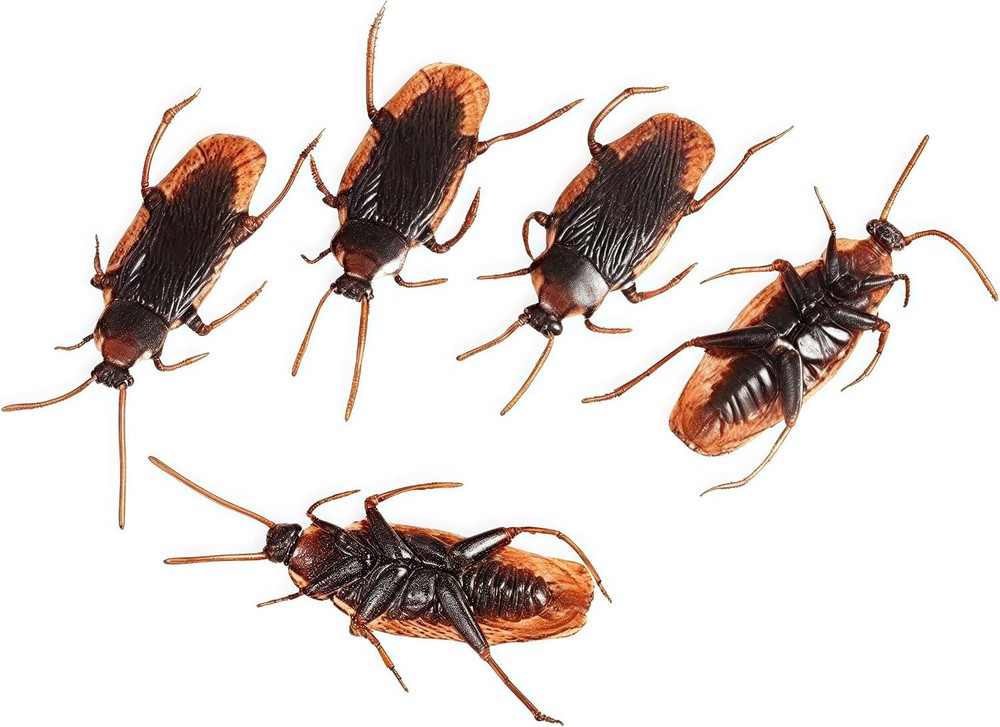 Halloween Prank Prop Roaches 5 Realistic