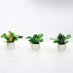 Inspire with These 20 PCS Miniature Plant Models Craft Lovers