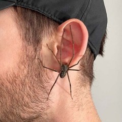 Realistic Spider Earrings Scary Spider Earrings Hand Cuff Costume Cosplay Partys