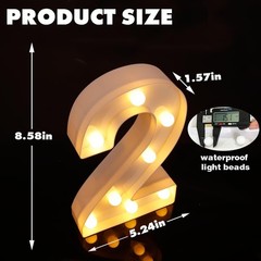 8.58 Inch Battery Powered Lighted Number (Number 2)