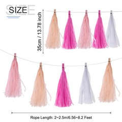 20Pcs Light Pink,Rose Red,Peach,White Tassel Garland Banner with Rope