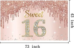 Stylish Rose Gold 16th Birthday Banner – Perfect Backdrop for Celebrating Girls