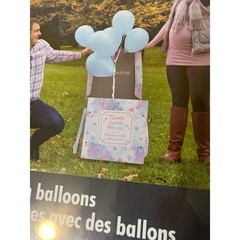 Snap-N-Store Gender Reveal Box Medium Pink Blue NEW Reusable Magnetic 16.5×17.5