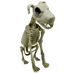 Halloween Dog Skeleton Canine Werewolf Prop Scary Haunted House Decoration 12″