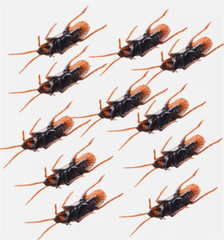 10X Prank Fake Roaches Plastic Cockroaches Creepy Roach Bugs Party Game Toy Gift