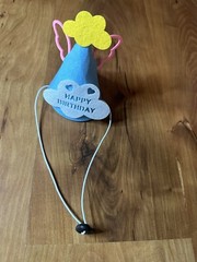 Pet Dog Birthday Party Decorations Banner Bandana Hat Balloons