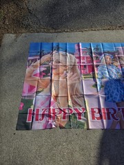 Barbie Happy Birthday party banner.