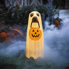 Light-Up Ghost Dog Blow Mold with C7 LED Halloween Decoration