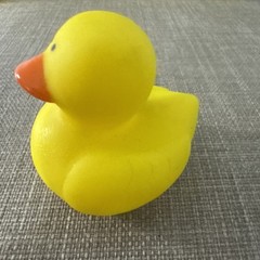 Yellow Rubber Ducks –  2 Inch Mini Size – Qty2: Dozen  Pack ! Jeep! Party’s!