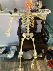 Crazy Bonez PoseNStay 5FT Skeleton Posable Moveable Joints Eyes light up