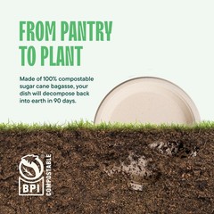 100% Compostable Paper Plates 9 Inch [500 Count] Heavy-Duty Dinner Plates – N…