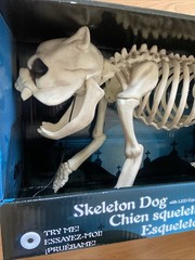 NEW Halloween Life Sized Dog Skeleton with LED Light Up Eyes Scary Spooky 18″