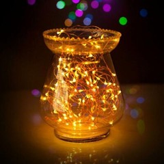 Fantado 100 Warm White LED Micro Fairy String Light, Waterproof Wire (33ft, A…