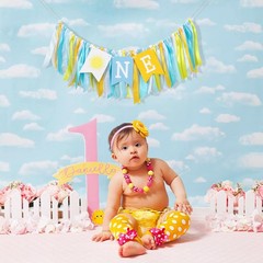 First Trip Around The Sun 1st HIgh Chair Banner – You Are My Sunshine High ch…