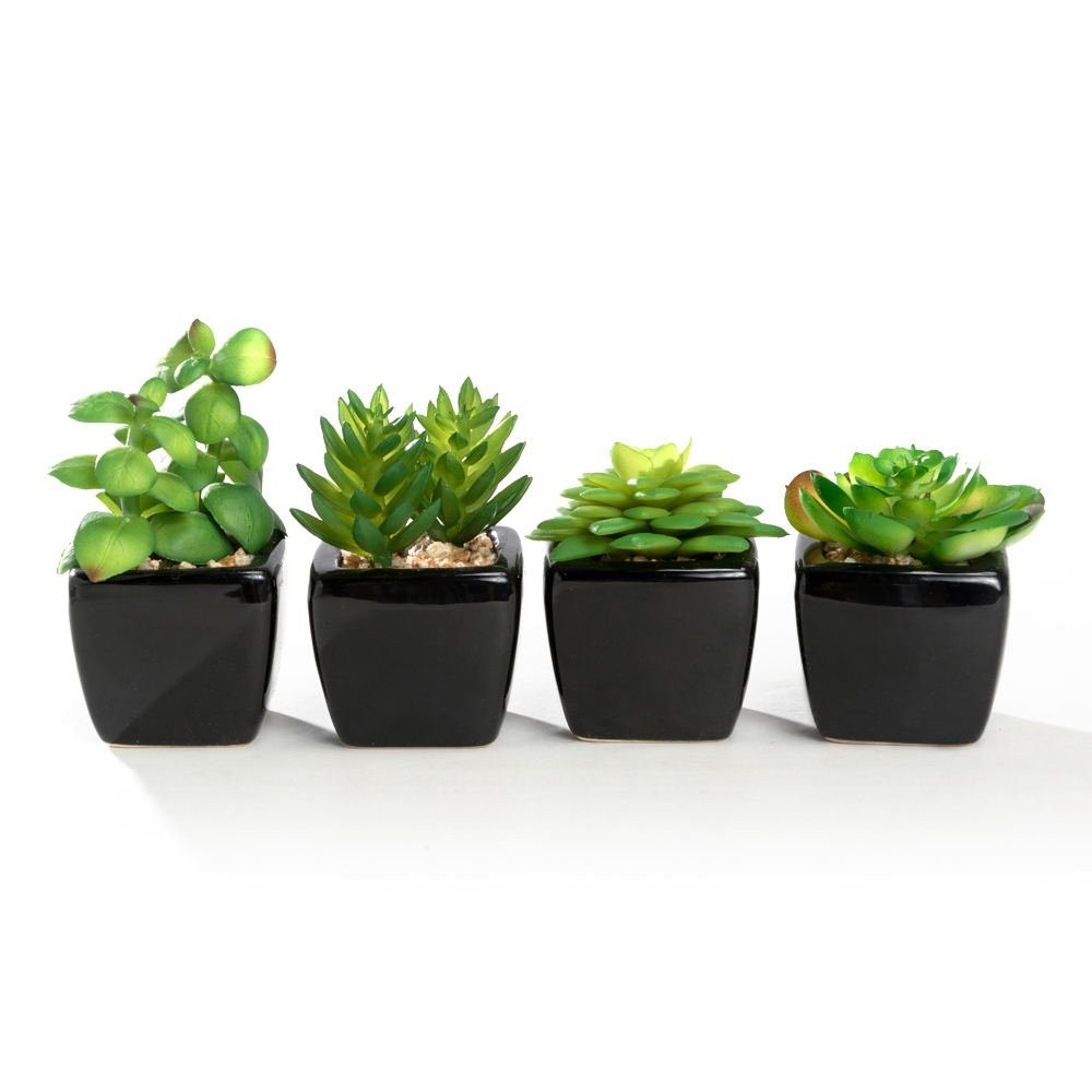 Nattol Modern Mini Artificial Succulent 11.0L x 3.0W x 4.3H inches, Black