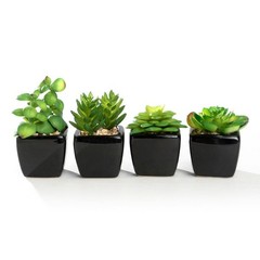 Nattol Modern Mini Artificial Succulent 11.0L x 3.0W x 4.3H inches, Black