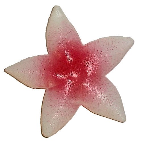 Plastic Starfish Decoration 7 Inch Nautical Beach Luau Ocean Theme Party Prop
