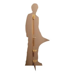 Cedric Diggory Lifesize Cardboard Cutout Official Harry Potter Free Mini Standee