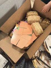 Western Party Decorations Set Multicolor Wood/Paper/Straw Hay Bales Cactus