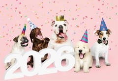 Large 2026 Sign Gradutaion Decorations 2026 Senior Photo Booth Props Grad Cen…