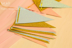 10Ft Gender Reveal Banner Glitter Pennant Flags for Baby Shower Party Decor 15Pc