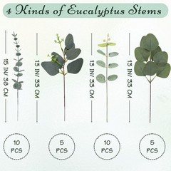 FENYUAN Eucalyptus Stems Bulk 30 Pcs, 4 Kinds Mixed Artificial Silver Green