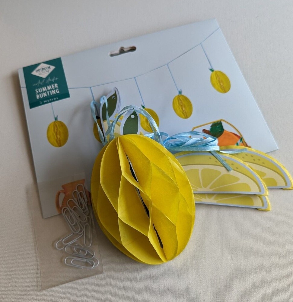 HONEYCOMB STRAWBERRY or LEMON GARLAND 5 Fruit 3D BUNTING Ribbon Hanging PARTY