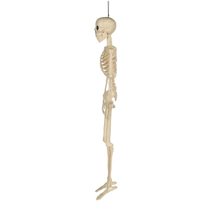 36″ Hanging Multi Pose-N-Stay Skeleton Halloween Decoration – Morris Costumes