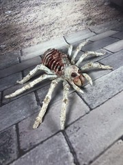 Creepy Horror Doll Skeleton Spider Albino Re Painted Halloween
