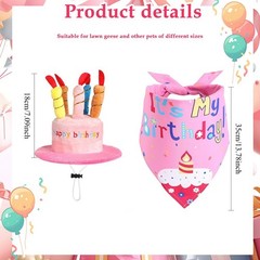 Cheerful Goose for costume Set for Outdoor Birthday Parties with Fun Accessories