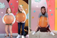 50-PC Photo Realistic Fall Pumpkins Cardstock Cut-Outs Wall Decor 8″H-17″H #270