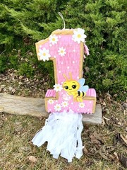 Bee Number One Piñata Birthday Party Decoration