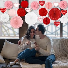 Red Pink Valentine Party Decoration Paper Fan Honeycomb Tissue Pom 22 PCS