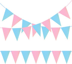 2 Pack Gender Reveal Bunting Blue & Pink Banner for Gender Reveal Party Suppl…