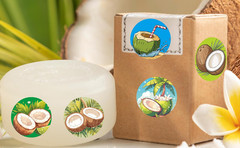 500 Pcs Coconut Themed Stickers for Birthday Party Decorations