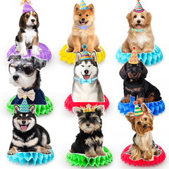9pcs Dog Honeycomb Centerpieces, Dog Party Honeycomb Decorations for Puppy Table