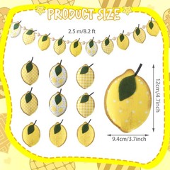 Lemon Felt Banner Garland Decor Vintage 3D Fruit Hanging Garland with Wooden …