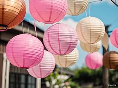 Pink Brown Paper Lanterns Decorative 12pcs Party Hot Pink,pink,coffee,brown
